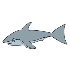 shark illustration