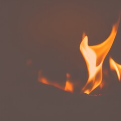 Orange Flame Selective Focus Photography