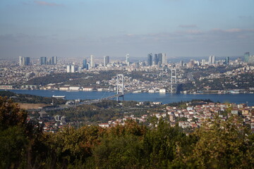 city skyline