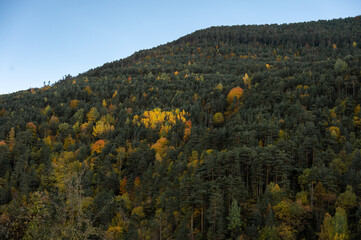 An autumnal valley with orange, yellow and green trees.