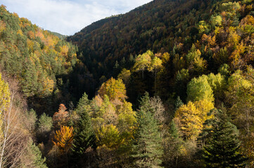 An autumnal valley with orange, yellow and green trees.