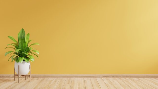 Yellow Wall Empty Room With Plants On A Wooden Floor.3d Rendering