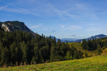 meadow and trees on a mountain with blue sky in autumn