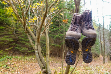 old hiking shoes hanging on a shrub