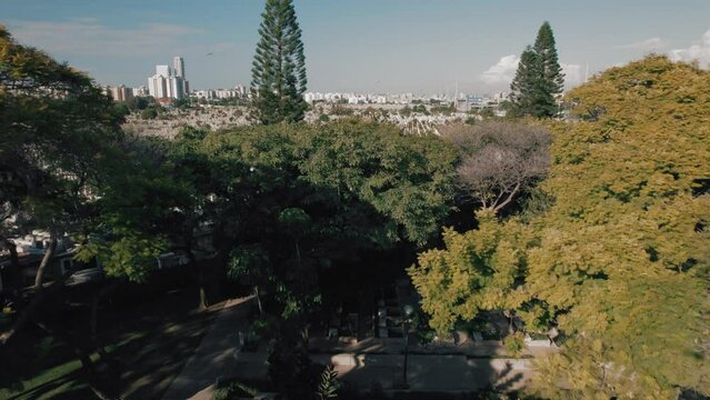 Southern Tel-Aviv Cemetery - The biggest in Israel - raise up reveal behind trees #006