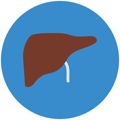 Liver Vector Illustration