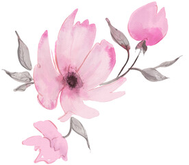 Pink watercolor flowers. Digitally painted illustration