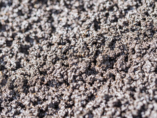 Bio humus texture earth. Composting waste worms