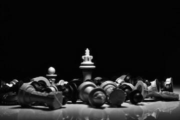 chess knight in the night © ahmet