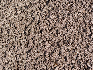 Bio humus texture earth. Composting waste worms
