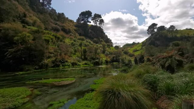 Green, lush hills overgrown by typical New Zealand flora and a crystal clear river flowing in between