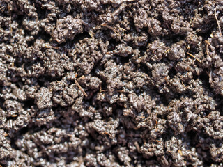 Bio humus texture earth. Composting waste worms