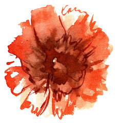 Red watercolor carnation. Hand painted illustration