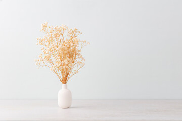 Flower in vase on pastel wall background.