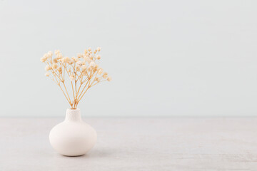 Flower in vase on pastel wall background.