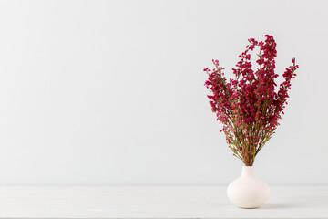 Flower in vase on pastel wall background.