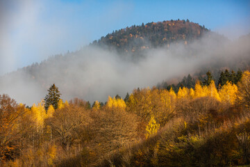 A charming mountain landscape in Carpathians, Romania. Autumn nature in Brasov, Europe