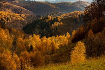 Naklejka premium A charming mountain landscape in Carpathians, Romania. Autumn nature in Brasov, Europe