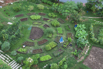 Ariel view of designed green garden for vegetable growing.