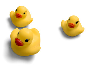 Rubber Ducks Family