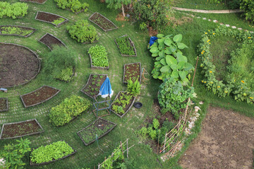 Ariel view of designed green garden for vegetable growing.