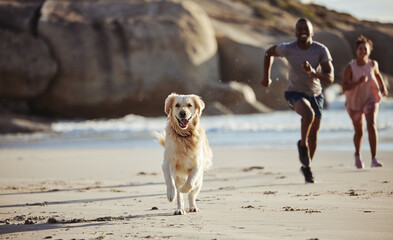 Couple, beach and dog running for freedom or travel vacation together with pet owner. Healthy lifestyle, fitness workout and golden retriever puppy run on ocean sand for happiness or relax at sea - Powered by Adobe