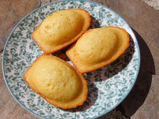 Madeleines sur une assiette