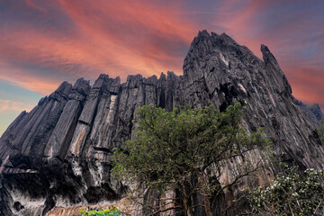 Yana caves is one of the finest creations of nature, located in Kumta in the Uttara Kannada...