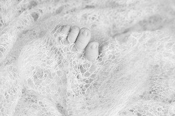 footprints in snow