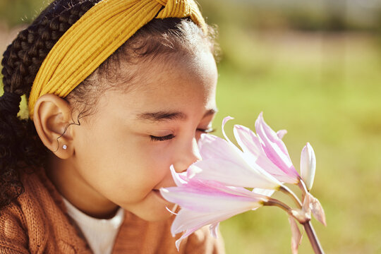 Nature, beauty and child smell flower in park, enjoying weekend, holiday and vacation in countryside. Peaceful, freedom and young black girl smelling aroma or scent of plant on field in spring time