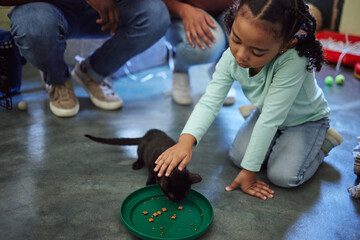 Child, girl or feeding kitten in pet shelter, adoption rescue or feline volunteer community clinic...