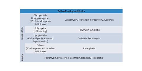 Obraz premium Table showing classification of Penicillin antibiotic by generations and chemical structure with examples. 