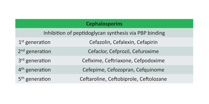 Table showing classification of Cephalosporin antibiotics by generation with examples, vector illustration.

