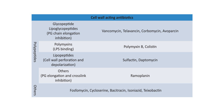 Table showing classification of Penicillin antibiotic by generations and chemical structure with examples.
