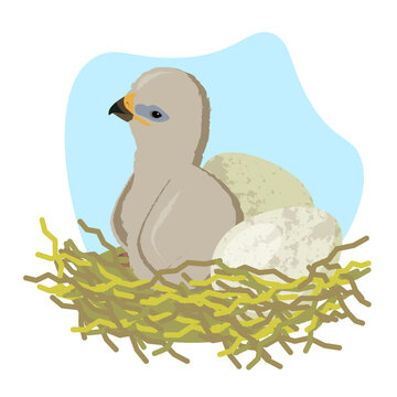 eaglet and eagle eggs in the nest. vector illustration