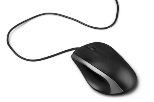 Computer Mouse