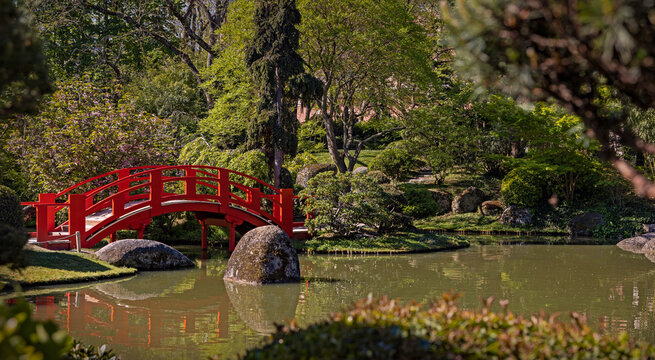 Toulouse - Jardin Japones