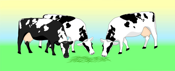 Two cash cows graze in a field, eating grass. Milkmaid in the meadow. Animals that feed on organic meadows. isolated flat illustration of a dairy farm
