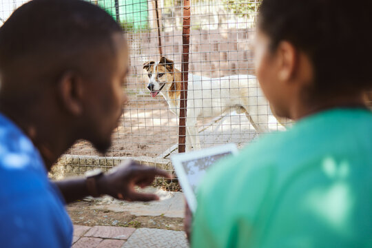 Dog, Vet And Doctors Research On A Tablet Helping Animals And Pets With Quality Veterinary Medical Healthcare. Teamwork, Veterinarian And Workers Nursing Traumatized Homeless Dogs With Puppy Vaccines