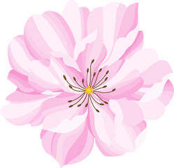 flower background for design. Vector design templates in simple modern style with copy space for text, flowers and leaves - wedding invitation backgrounds and frames, social media stories wallpapers.