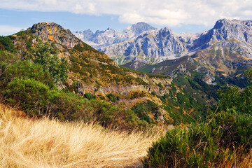 Picos de Europa