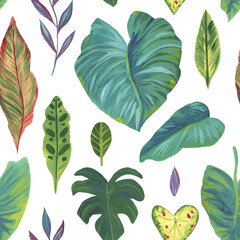 Tropical plant pattern. Seamless background of different tropical leaves. Hand-drawn