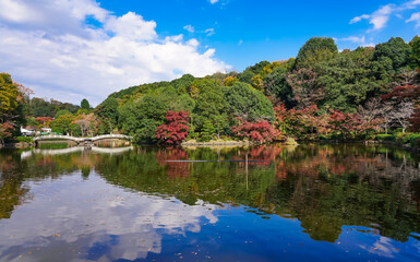 Fototapeta na wymiar 秋晴れの薬師池公園　水辺の紅葉（東京都町田市）