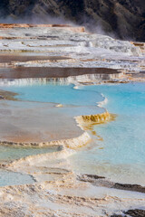Mammoth hot springs at Yellowstone national park. USA.