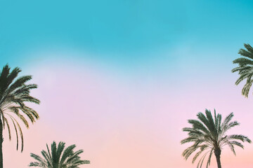 Palm trees on soft blue and pink color sunset sky with space for text. Travel and tropical vacation...