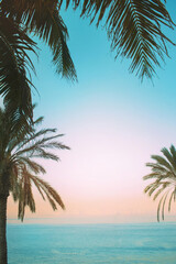 Obraz na płótnie Canvas Palm leaves on sunset sky background and blue ocean water. Travel and tropical vacation concept photo in retro colors with space for text. 