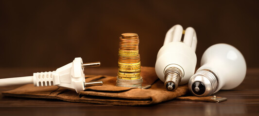Electrical plug and light bulbs with a wallet and euro money coins. Energy savings, efficiency,...