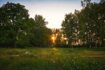 The sun sets behind the trees in Plyos town, Russia