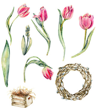 Hand drawn watercolor pink flowers tulips set and empty wreath made of brown twigs. It's perfect for greeting cards, wedding invitation, birthday and mothers day cards. isolated on white background. 