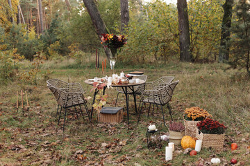 Cozy autumn picnic in the park. Festive setting table decorated wildflowers in vase, candles, food, hot drinks, maples leaves and wicker chairs outdoors. Straw baskets and pumpkins on the grass